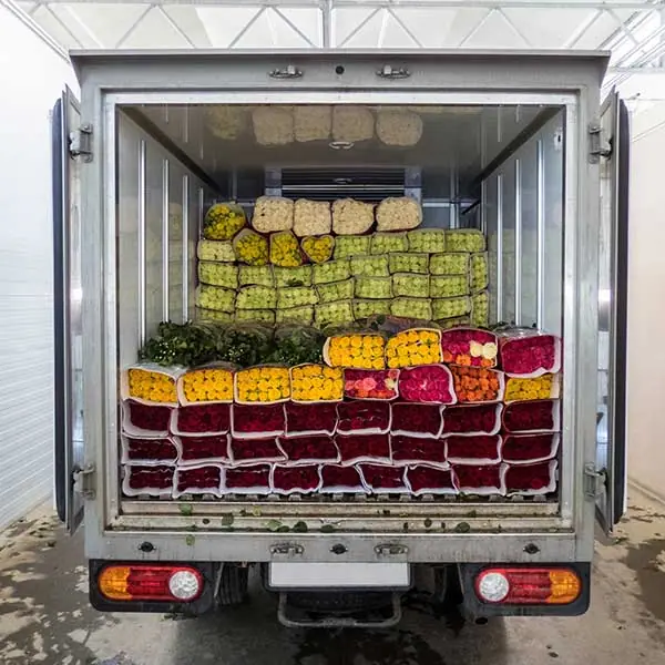 Fresh produce loaded in a refrigerated truck trailer